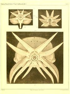 n182_w1150