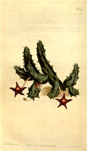 n59_w1150