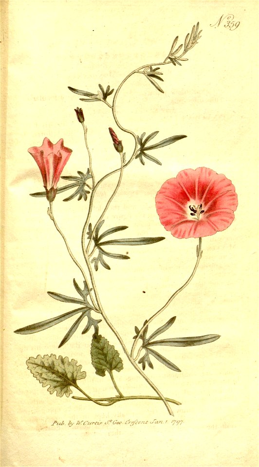 n153_w1150