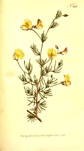 n122_w1150