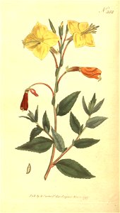 n58_w1150