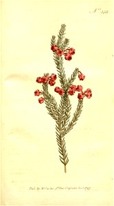 n151_w1150