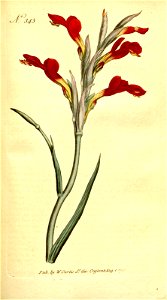 n120_w1150