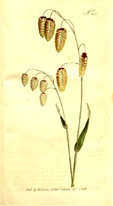 n149_w1150