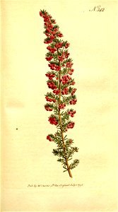 n118_w1150