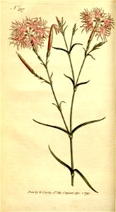 n19_w1150