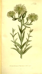 n83_w1150