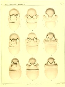 n376_w1150