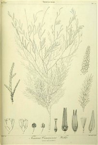 n300_w1150