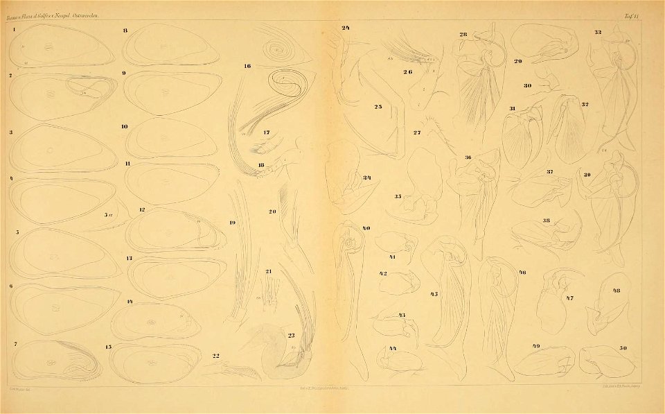 n462_w1150