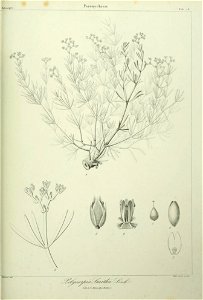 n296_w1150