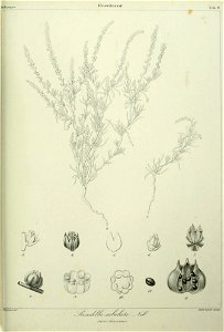 n266_w1150