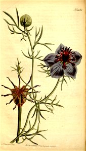 n69_w1150
