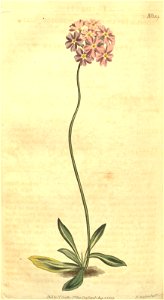 n205_w1150