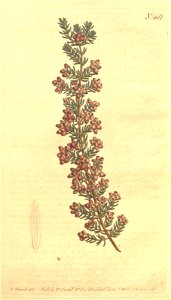 n113_w1150