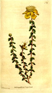 n138_w1150