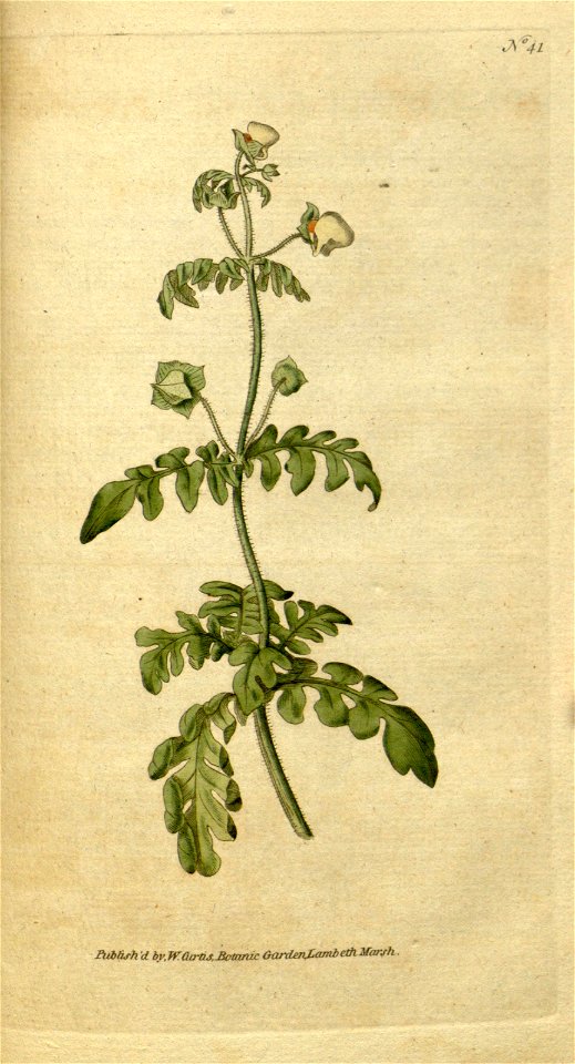n92_w1150