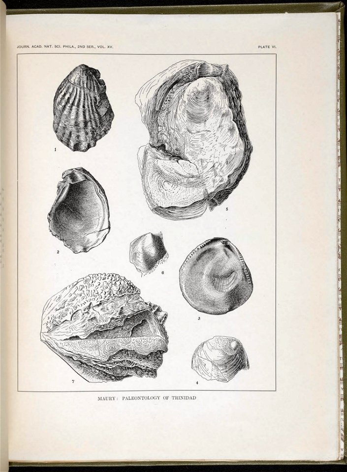 n102_w1150