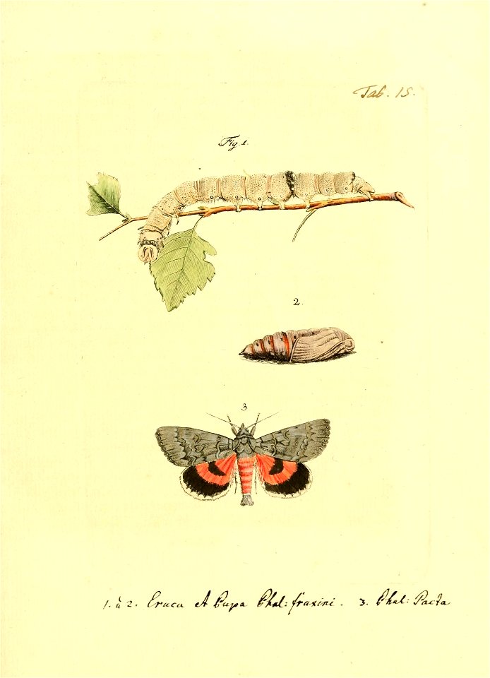n122_w1150