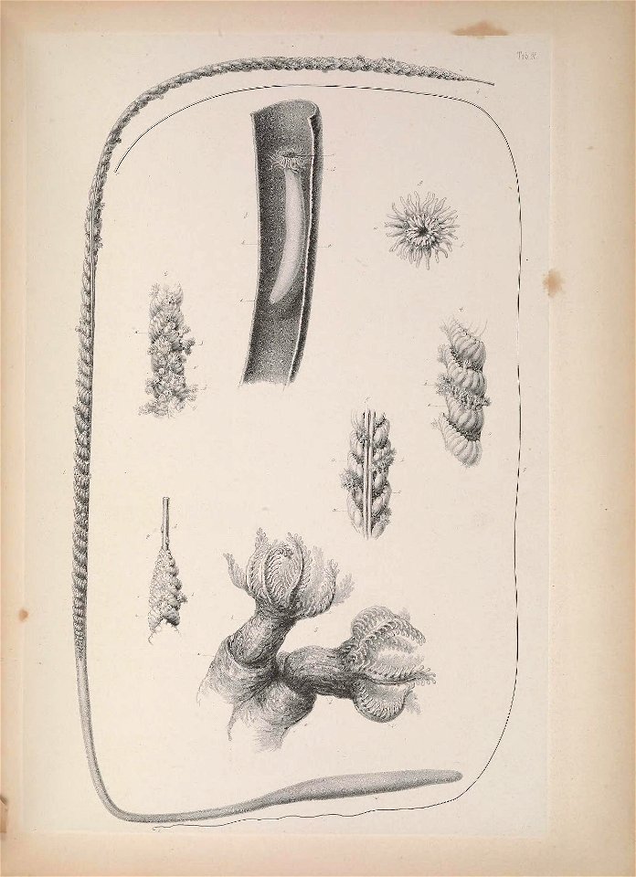n184_w1150
