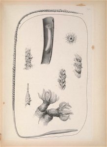 n184_w1150