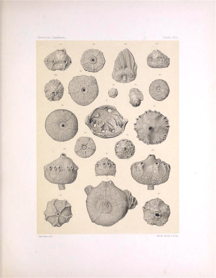 n112_w1150
