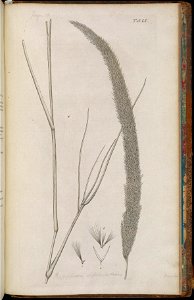 n422_w1150