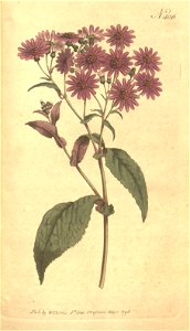 n98_w1150