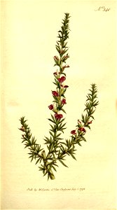 n114_w1150