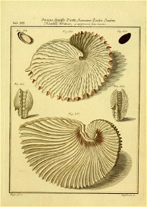 n508_w1150