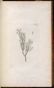 n116_w1150