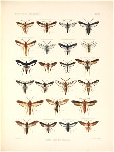 n154_w1150