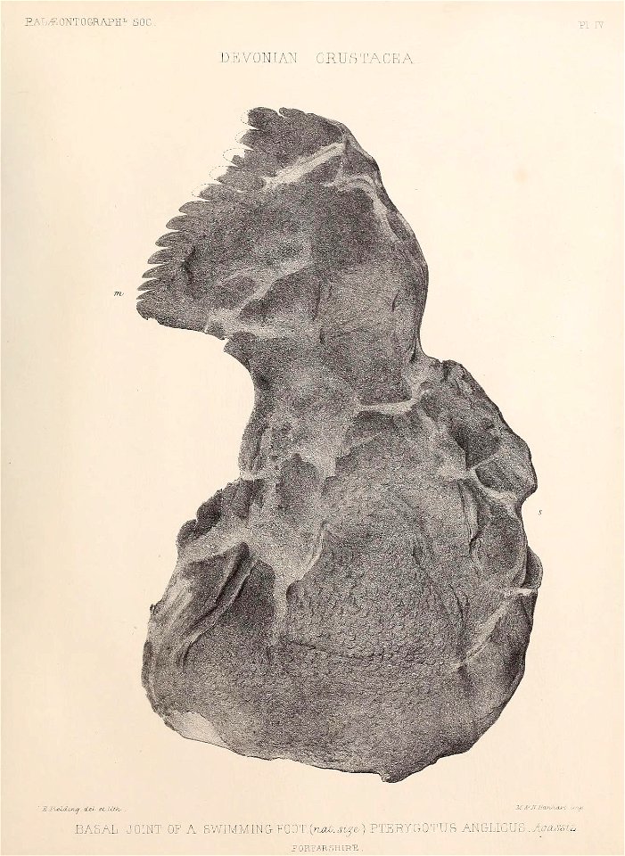 n78_w1150