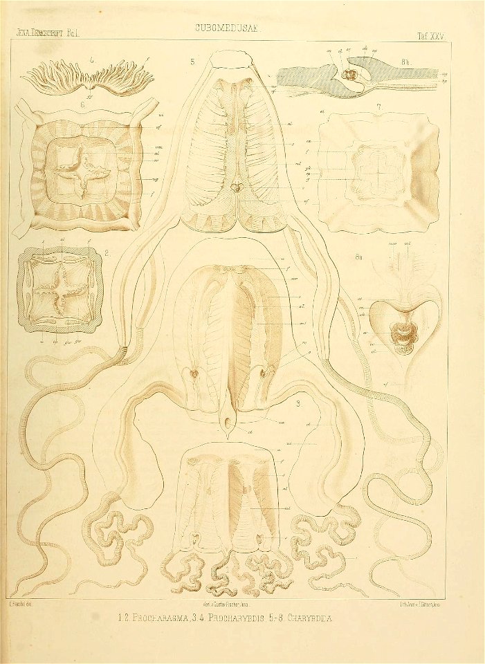 n110_w1150