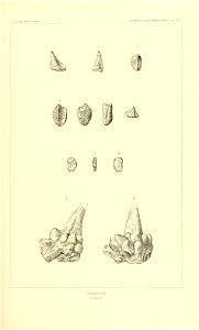 n396_w1150