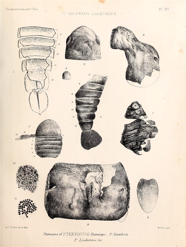 n206_w1150