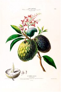 n99_w1150