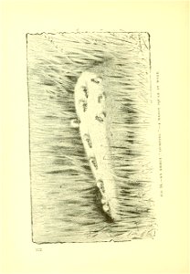 n287_w1150