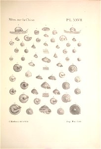 n174_w1150