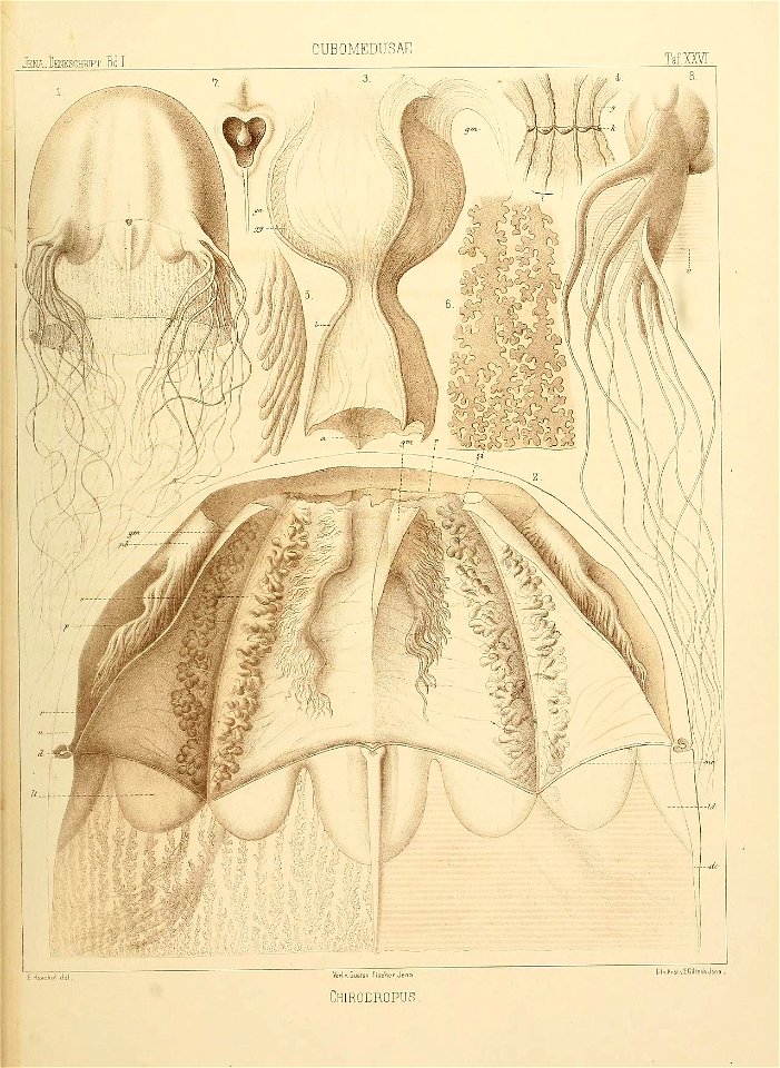 n114_w1150