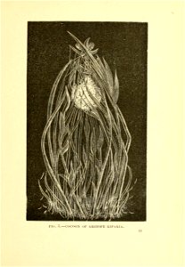 n36_w1150