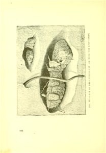 n273_w1150