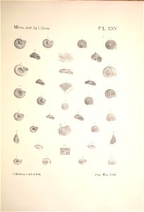 n170_w1150