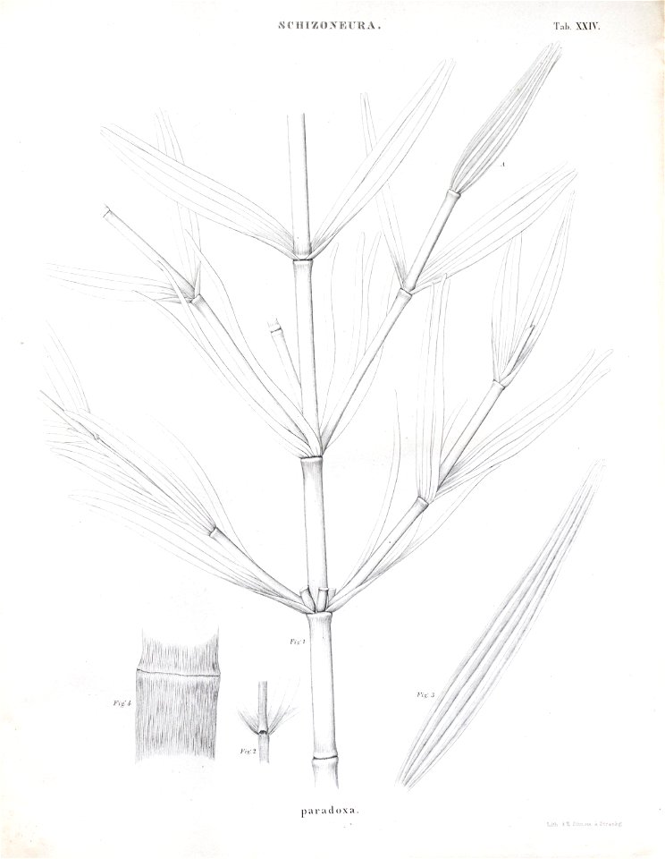 n84_w1150