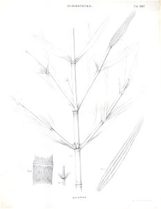 n84_w1150