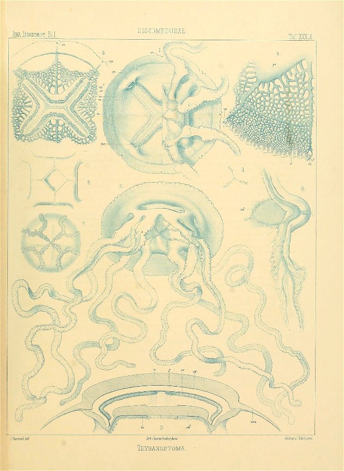 n166_w1150