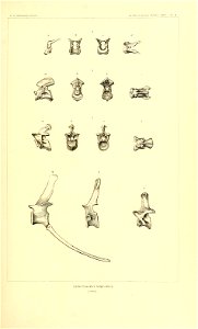 n152_w1150