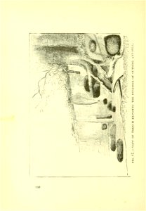 n271_w1150