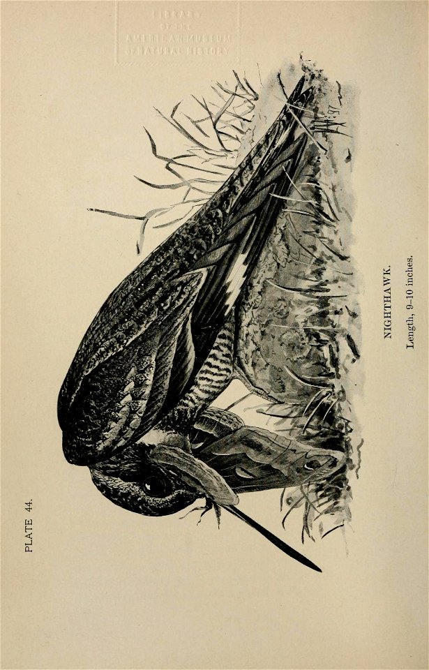 n301_w1150