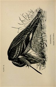 n301_w1150